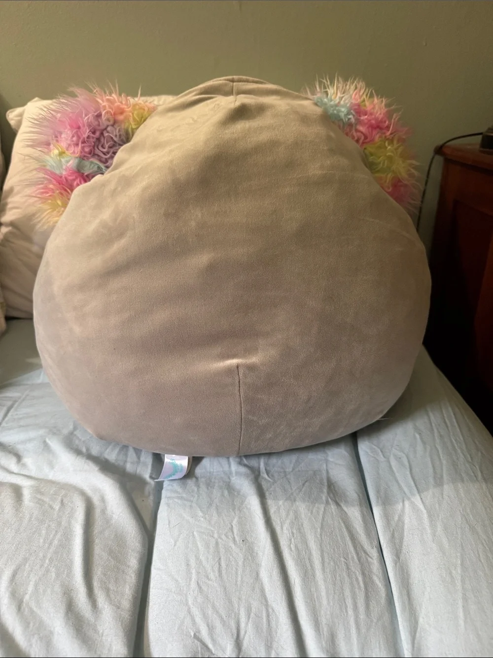 Squishmallows Gray Koala with Pink and Rainbow Ears